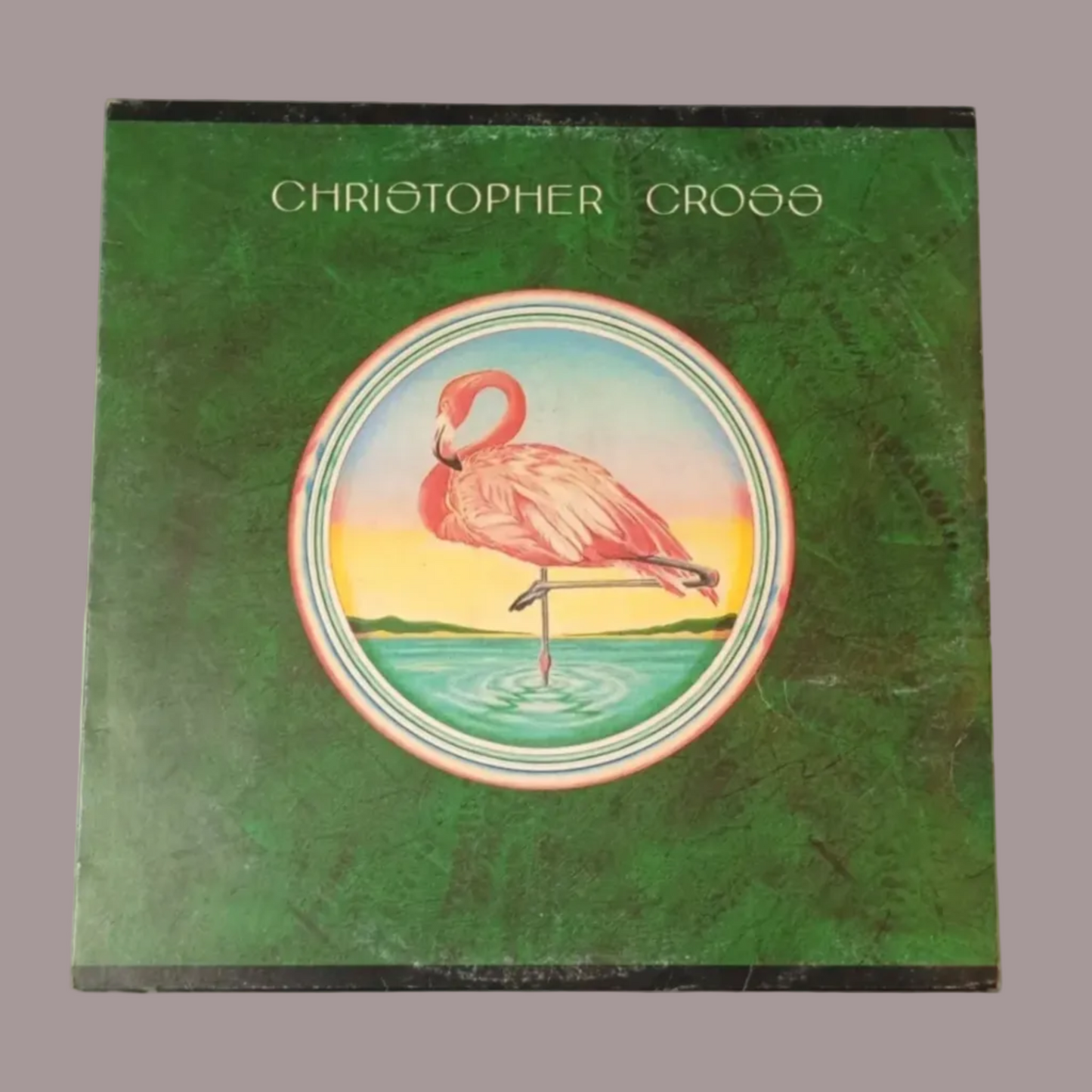 Vinile Christopher Cross 1979 LP 33 Giri Warner Bros Rock Ottime Condizioni